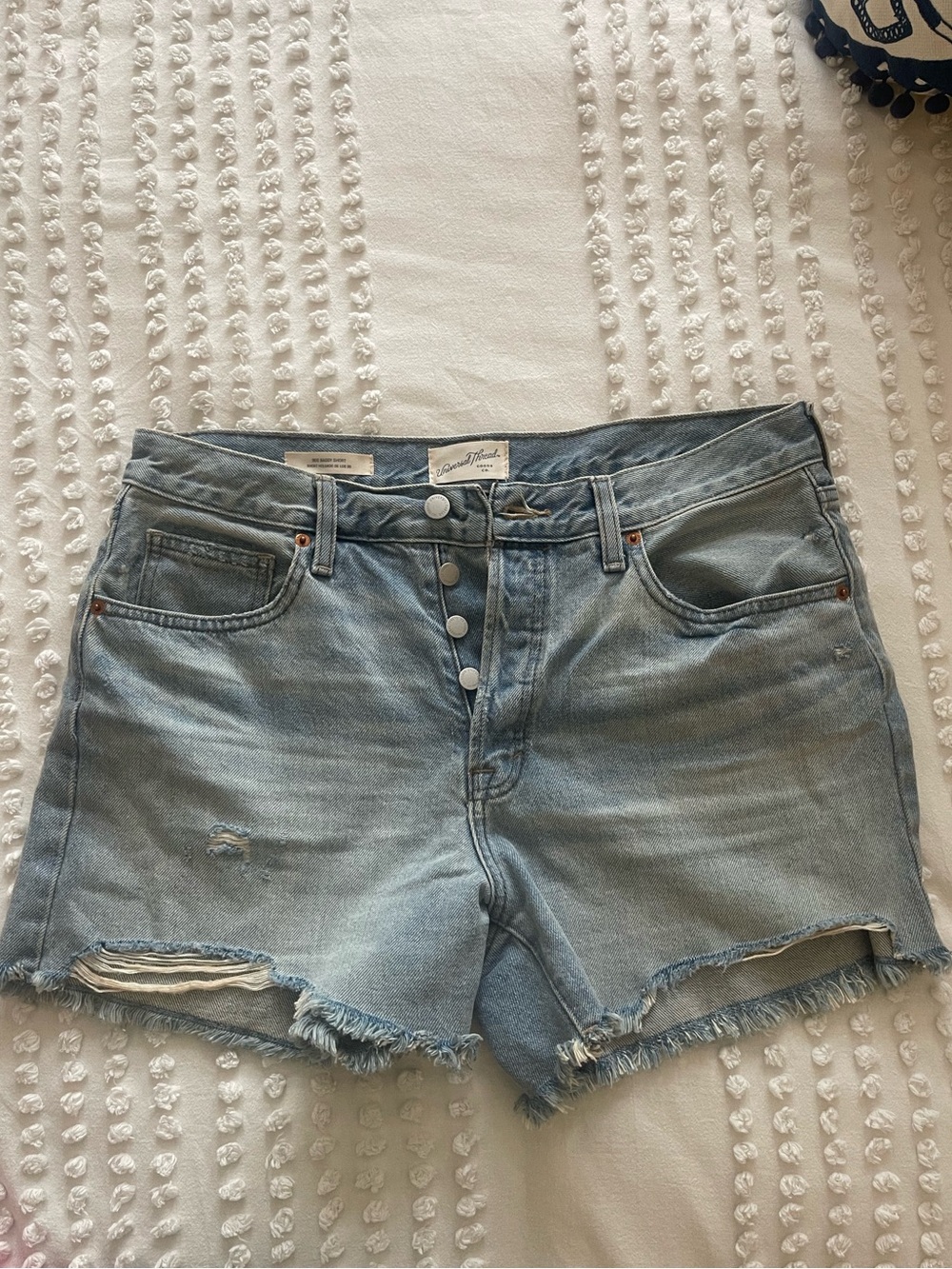 Universal Thread 90s Style Light Blue Denim Button-Fly Shorts